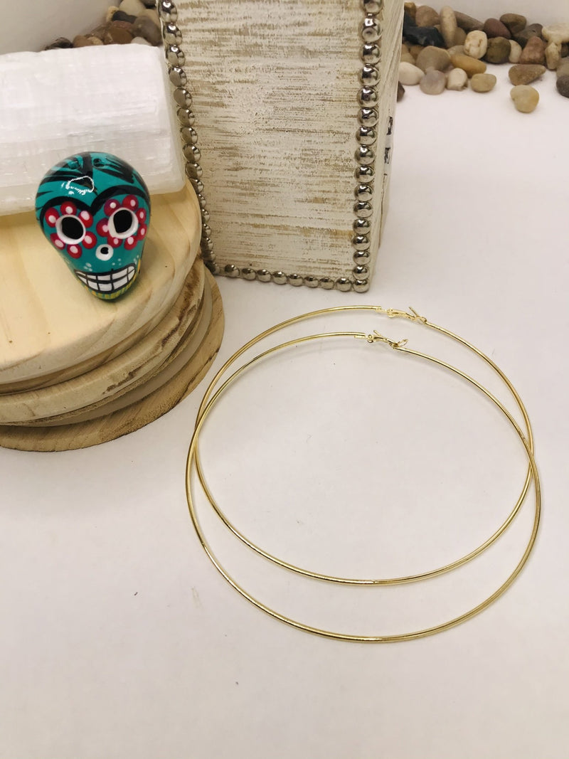 Golden Hour Hoop Earring, Plated Stainless Steel Rounded Tube Hoop Earrings - Boho Cowgirlz Boutique