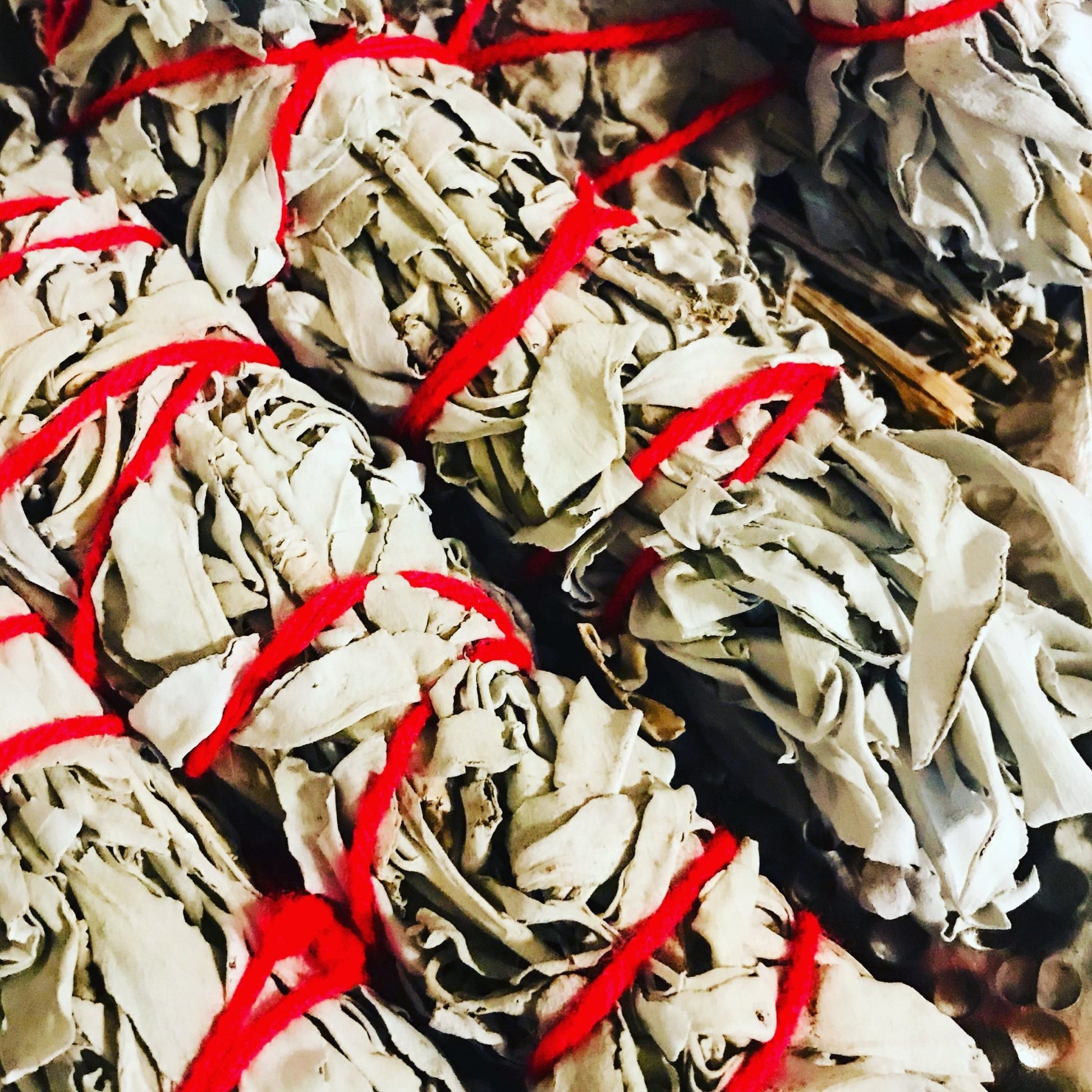 White Sage 9” California White Sage - Boho Cowgirlz Boutique