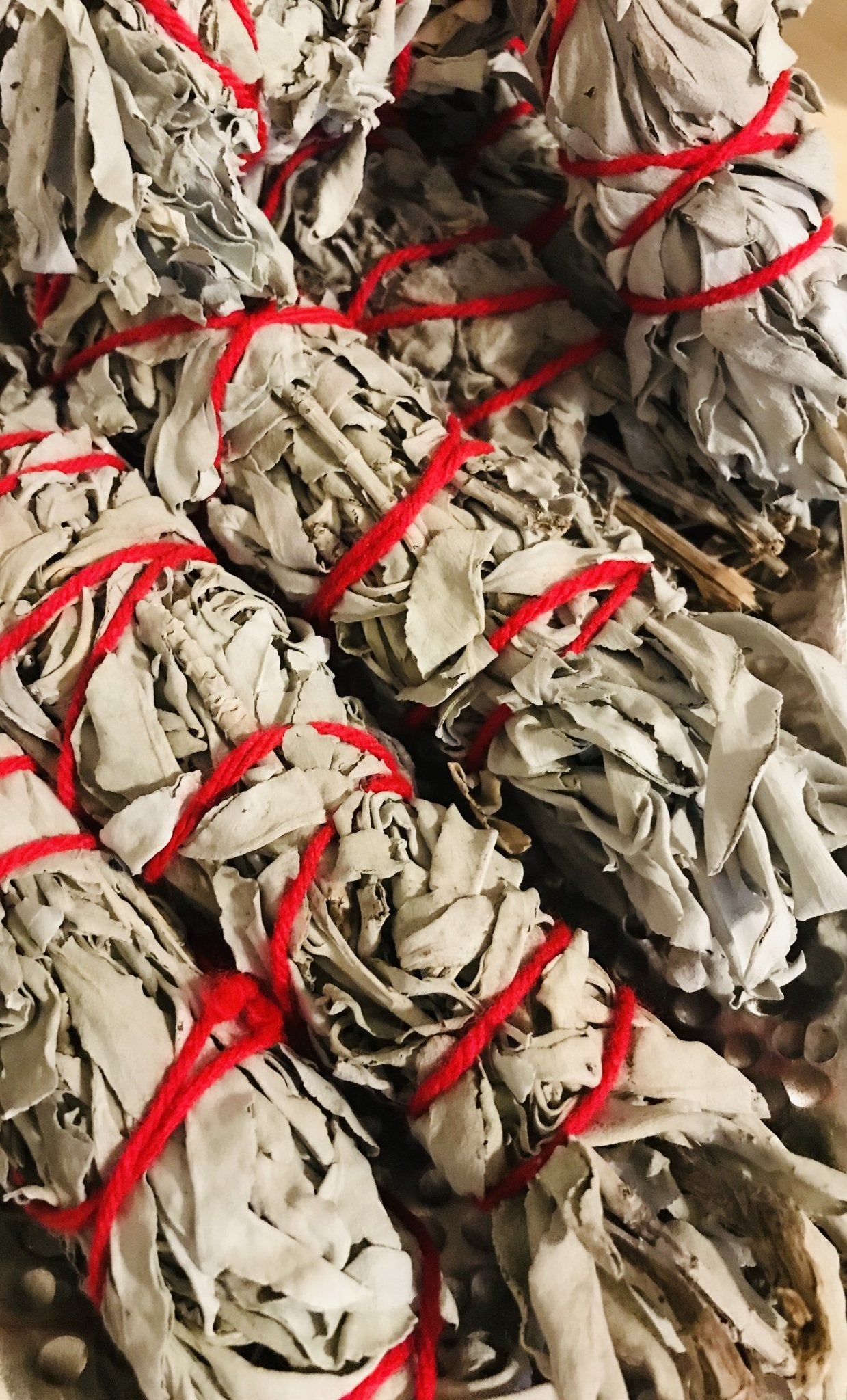 White Sage 9” California White Sage - Boho Cowgirlz Boutique